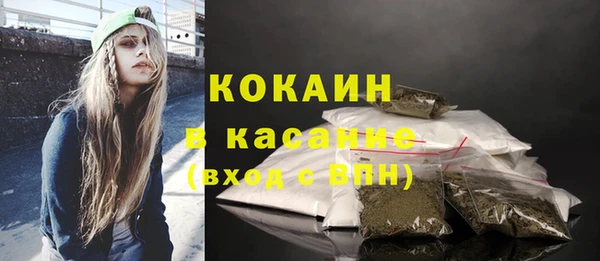 соль ск Алексин